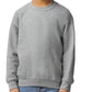 Youth Sweatshirt